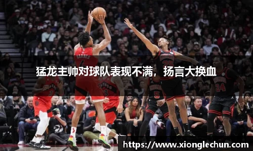 B体育bsports