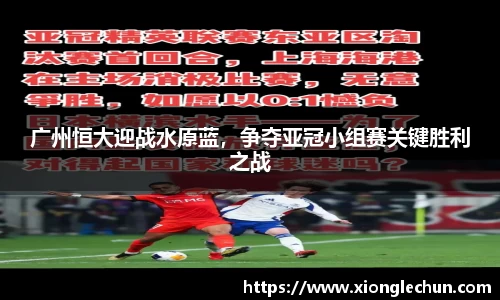 bsports官网入口