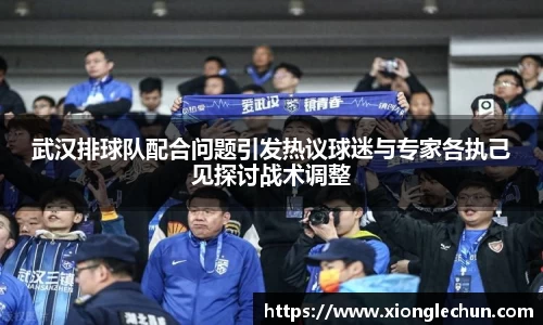 武汉排球队配合问题引发热议球迷与专家各执己见探讨战术调整